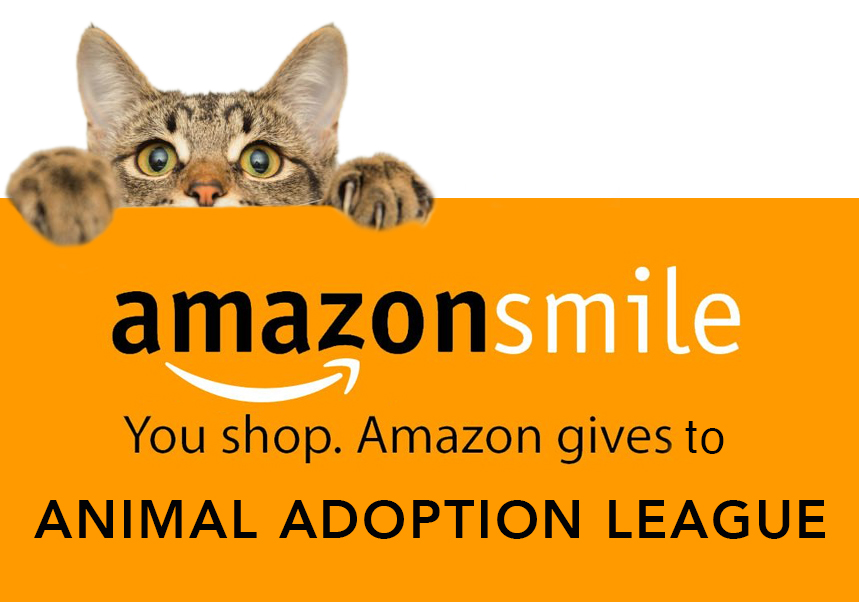 Amazon Smile